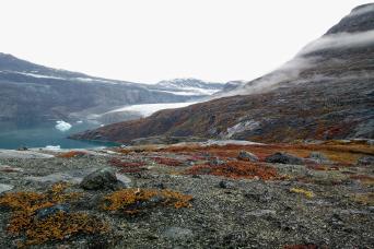 Explore icy Arctic waterways