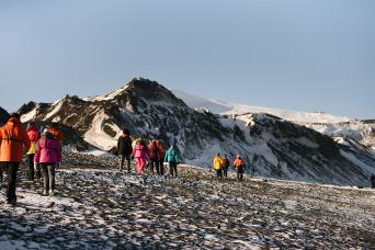 Close encounters of the whale kind!