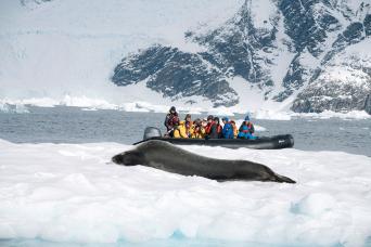 Specialist photographic guides