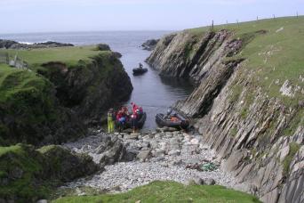 Whales are often sighted in these waters