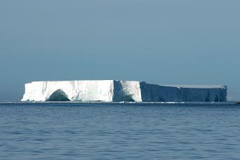 See huge icebergs in Antarctica!