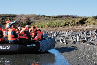 Visit penguin colonies