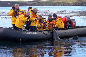 Elephant seal & Zodiac, South Georgia
