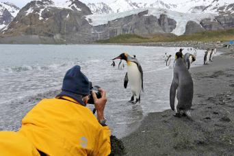 St Andrews Bay, South Georgia