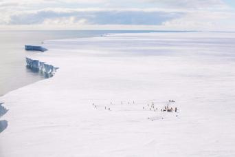 Helicopters land us on icebergs and fast ice where boats cannot reach