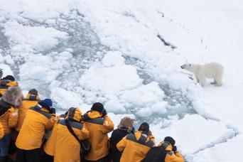 Look out for polar bears in Svalbard!