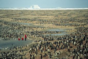 The fantastic new Antarctica ship Greg Mortimer