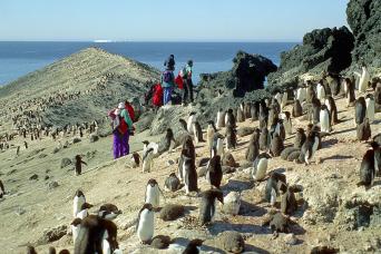 Optional scuba diving and snorkelling in Antarctica