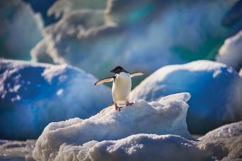 A photographer's paradise