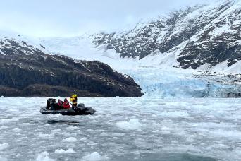 Visiting a black-browed albatross colony in the Falklands