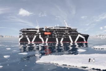 Jousting elephant seals!