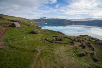 Polar Bear, Canadian Arctic