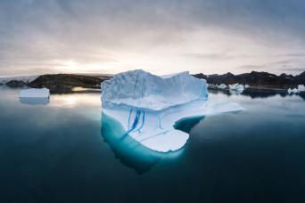 Admiring tundra flowers