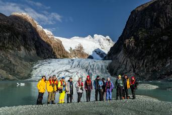 Black browed albatross grooming on the nest