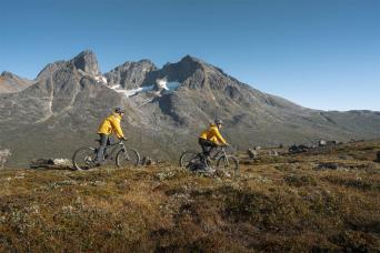 Mountain biking excursions
