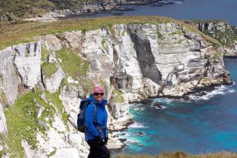 Hookers Sea Lions, Auckland islands