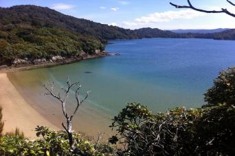 Pristine Stewart Island