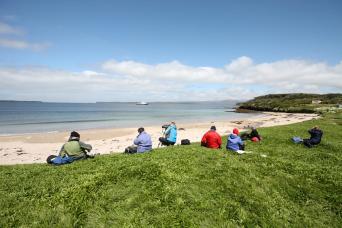 Enderby Island, Auckland Islands