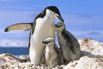 Paradise Bay, Antarctica