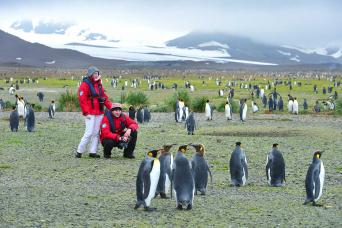 Iceberg magnificence!