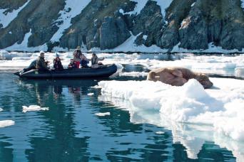 Zodiacs can explore among the pack ice floes
