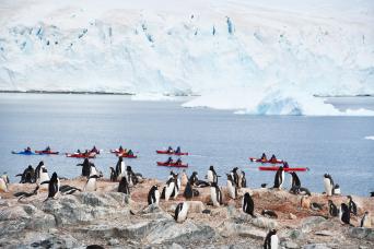 Kayaking option allows you water-level access to Antarctica