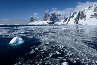Cruise to the Antarctic Peninsula