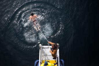 Take the polar plunge and go swimming in Antarctica