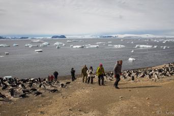 Humpback whale encounter!