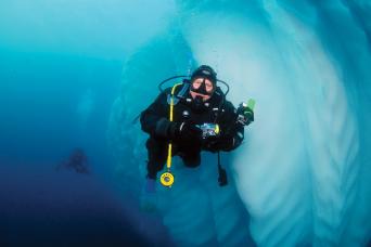 Optional Scuba Diving in Antarctica