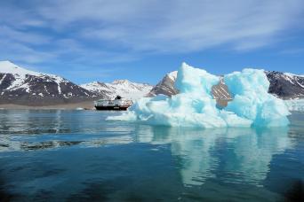 Walrus haulout, Spitsbergen