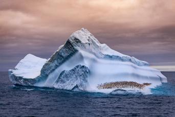 Enter the Antarctic ice world!
