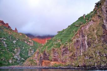 Rugged coast of Gough Island