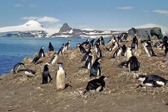 Go Sea kayaking in Antarctica!