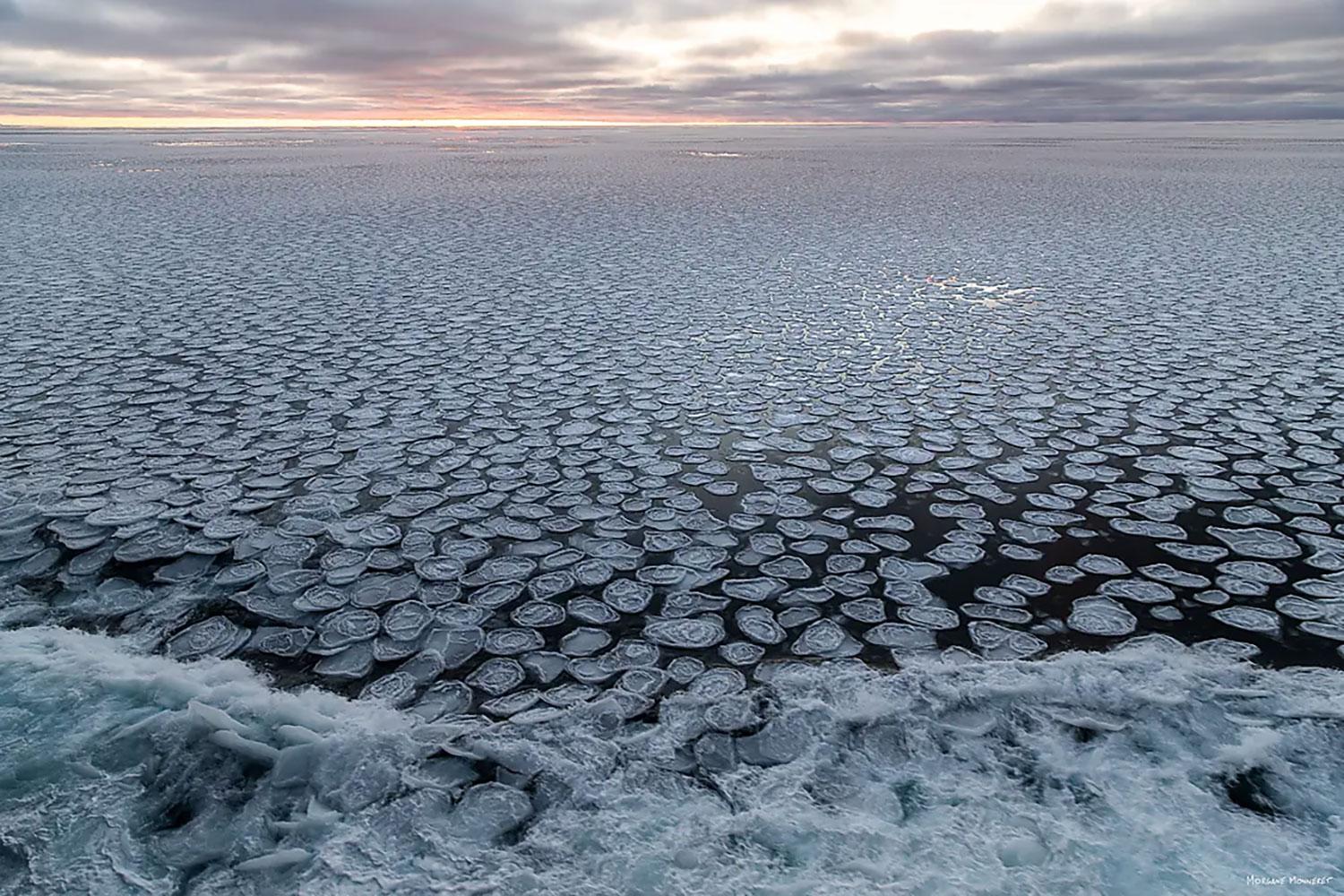 Quest For The Antarctic Circle Resolute Expeditions Online