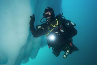 Polar diving is an optional activity