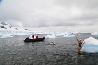 Spot whales in Antarctica!