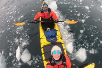 Gentoo penguin, Antarctic Peninsula