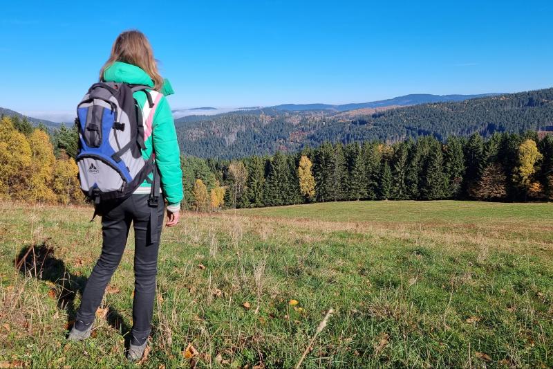 Wandelen door het Boheemse Woud