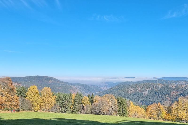 Autovakantie Zuid Bohemen