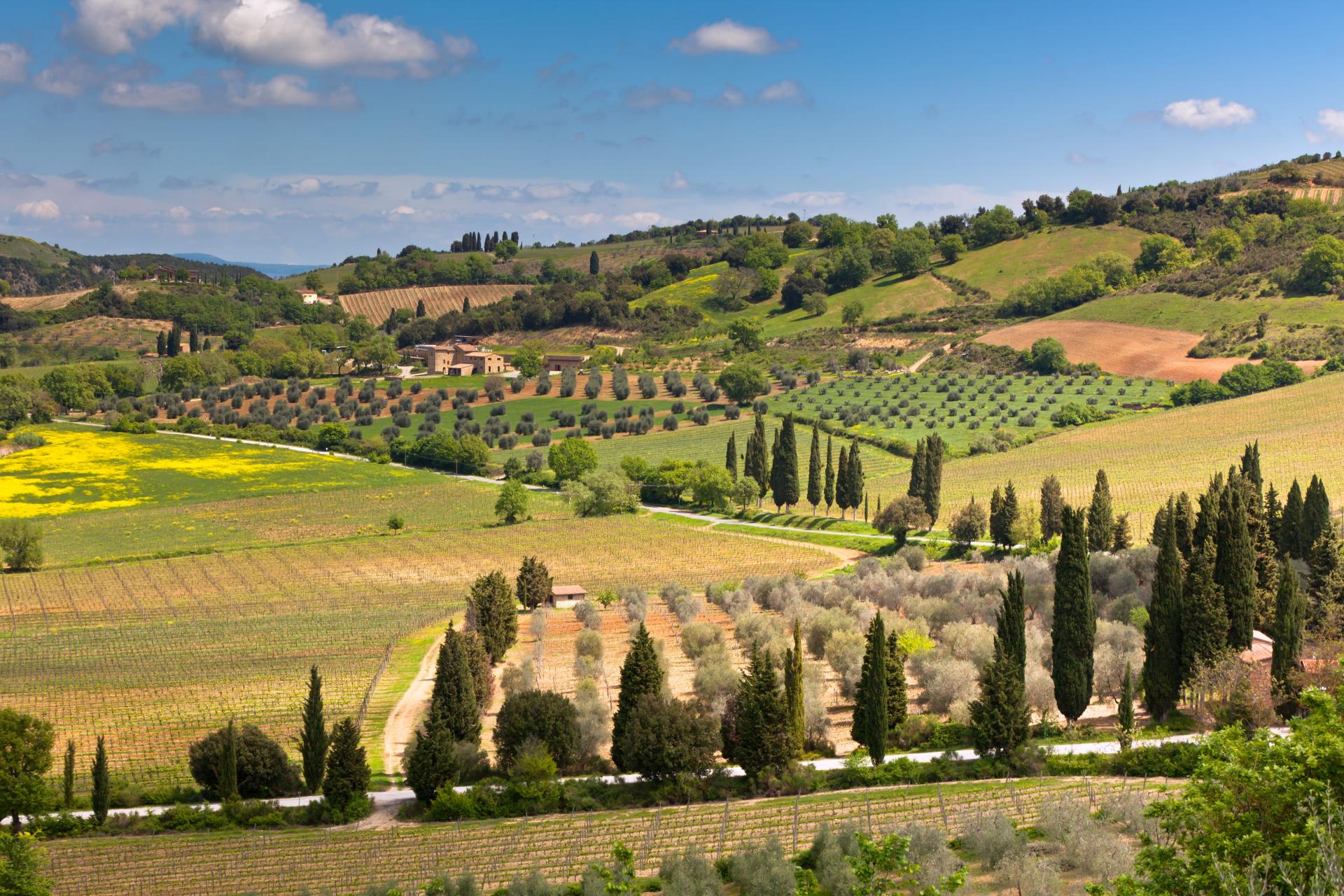 Delectable Chianti Wine Tour from Florence**2 Wine Tastings | Chianti Classico | Via Chiantigiana | Castellina**
