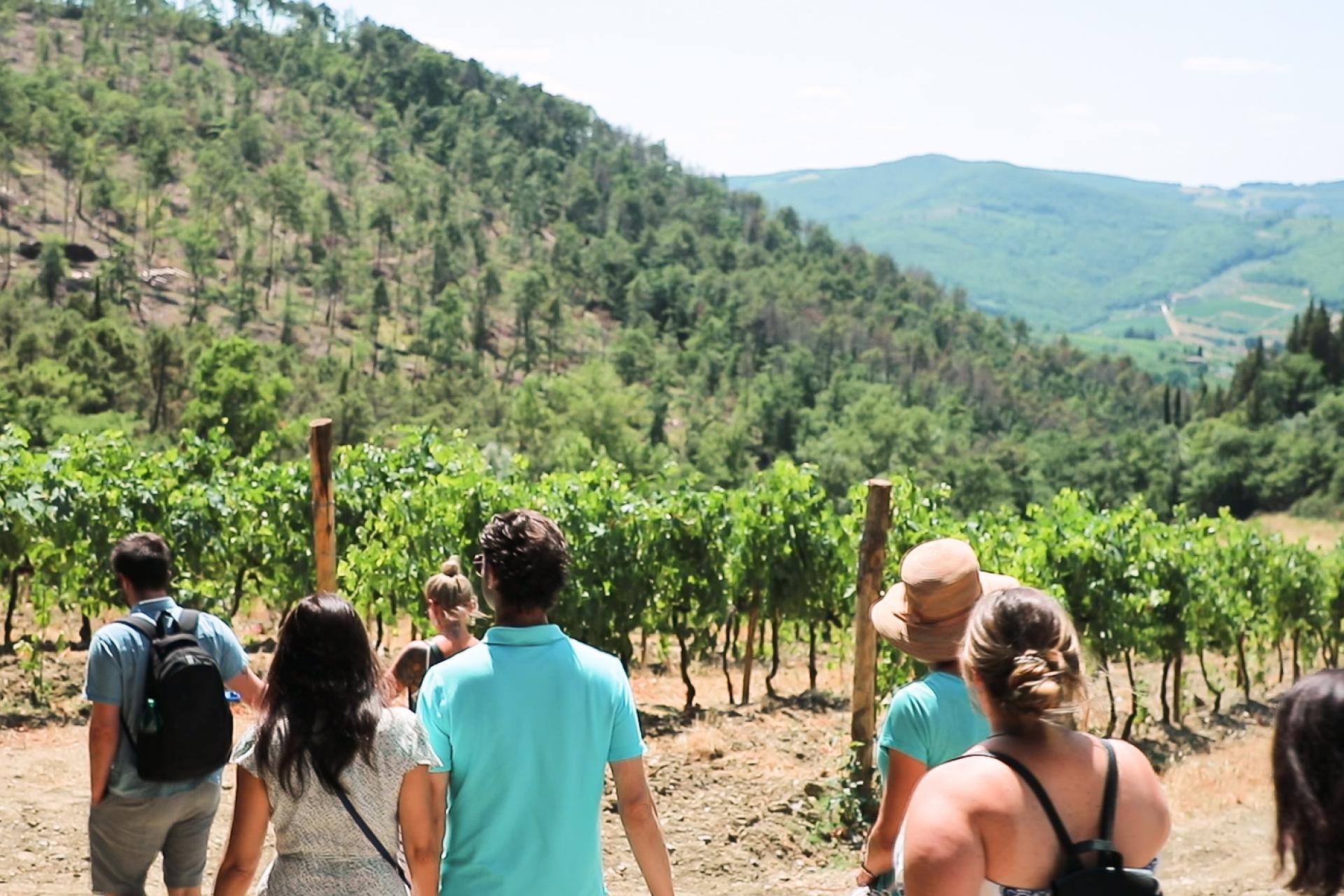 Delectable Chianti Wine Tour from Florence**2 Wine Tastings | Chianti Classico | Via Chiantigiana | Castellina**