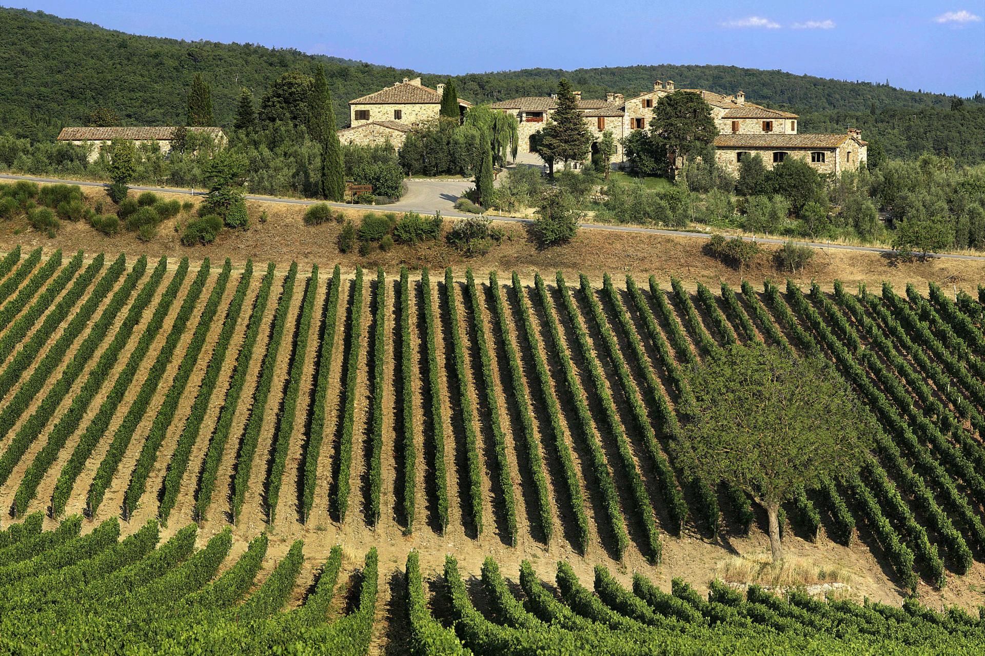 Delectable Chianti Wine Tour from Florence**2 Wine Tastings | Chianti Classico | Via Chiantigiana | Castellina**