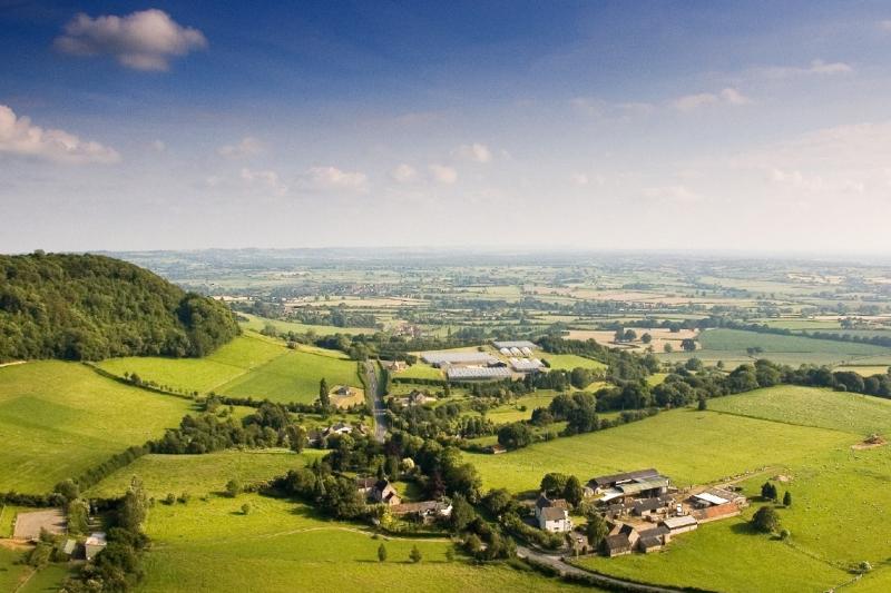 The Cotswolds with Lunch