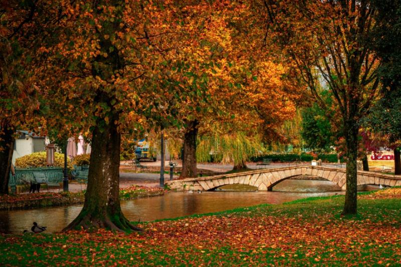 Bath and Cotswolds Tour from London