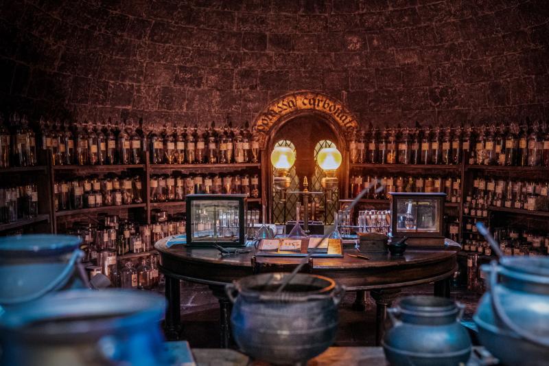 Harry Potter Warner Bros. Studio Tour with Transfer   Return Eurostar from Paris