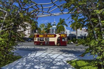 Miami : tour en bus hop on, hop off - Pass 24 heures