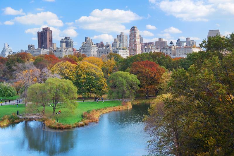 Manhattan uptown : tour en bus à arrêts multiples