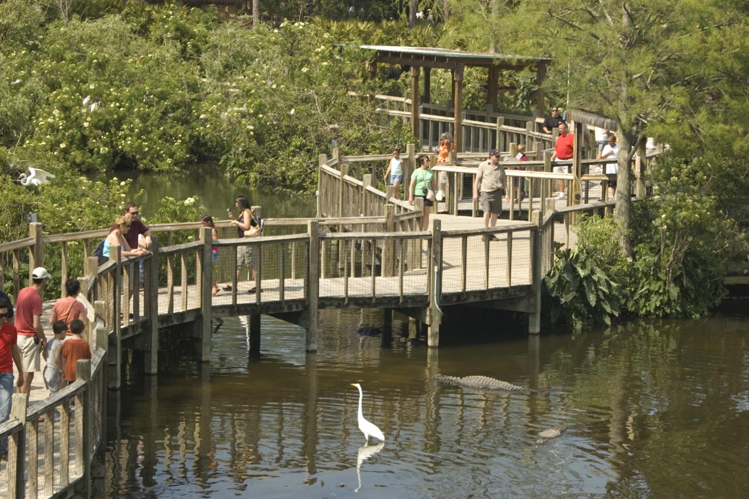 gatorland-tickets-only-orlando