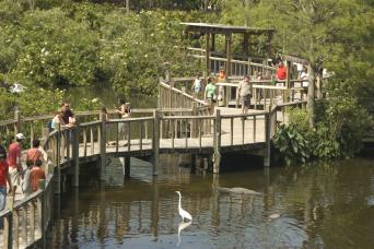 Billets d'entrée à Gatorland